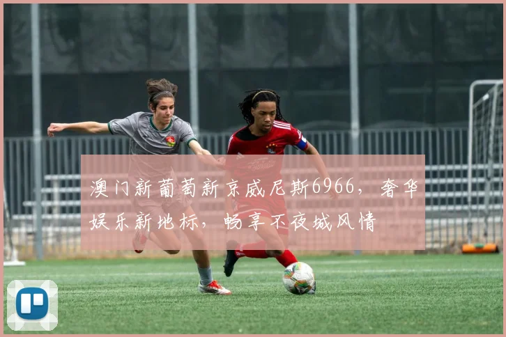 澳门新葡萄新京威尼斯6966，奢华娱乐新地标，畅享不夜城风情