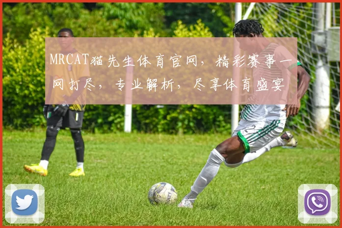 MRCAT猫先生体育官网，精彩赛事一网打尽，专业解析，尽享体育盛宴，不容错过
